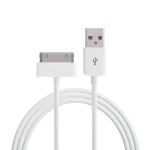 Cable de Carga USB de 30 pines