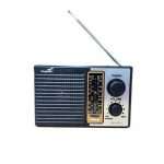 Radio FM/AM DSY-8001 Kingmox