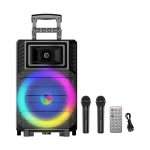 Bocina con 2 Micrófonos Inalámbricos 12" ZQS12132